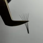 ANASTASIA 24K GOLD - Volume Lash Tweezers Simple