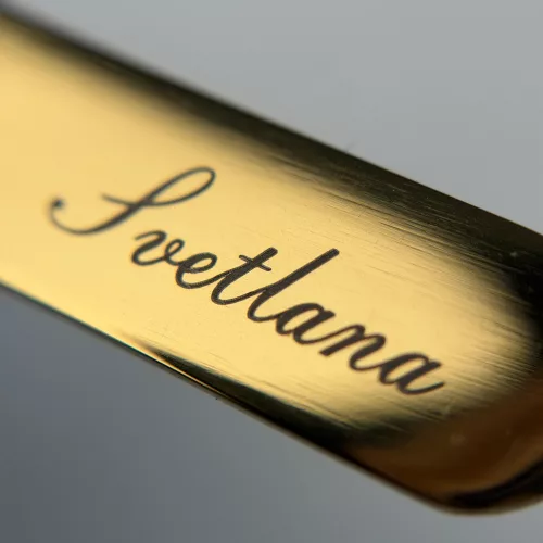 SVETLANA 24K GOLD - Volume Lash Tweezers Simple