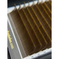   20 Rows - MIX • Hazelnut Brown • 0.07 - Brown Lash Extensions